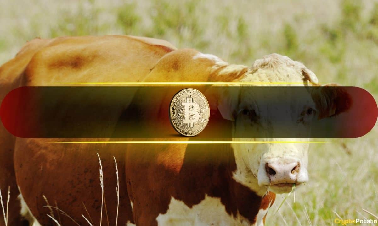 Global M2 Growth Signals Bitcoin Bull Market Intact Despite October Crash, Says VanEck
